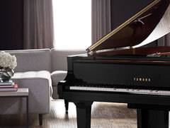 【新品上市】多彩的自动演奏系统带来精彩的视听享受盛宴<br />雅马哈自动演奏钢琴disklavier ENSPIRE™